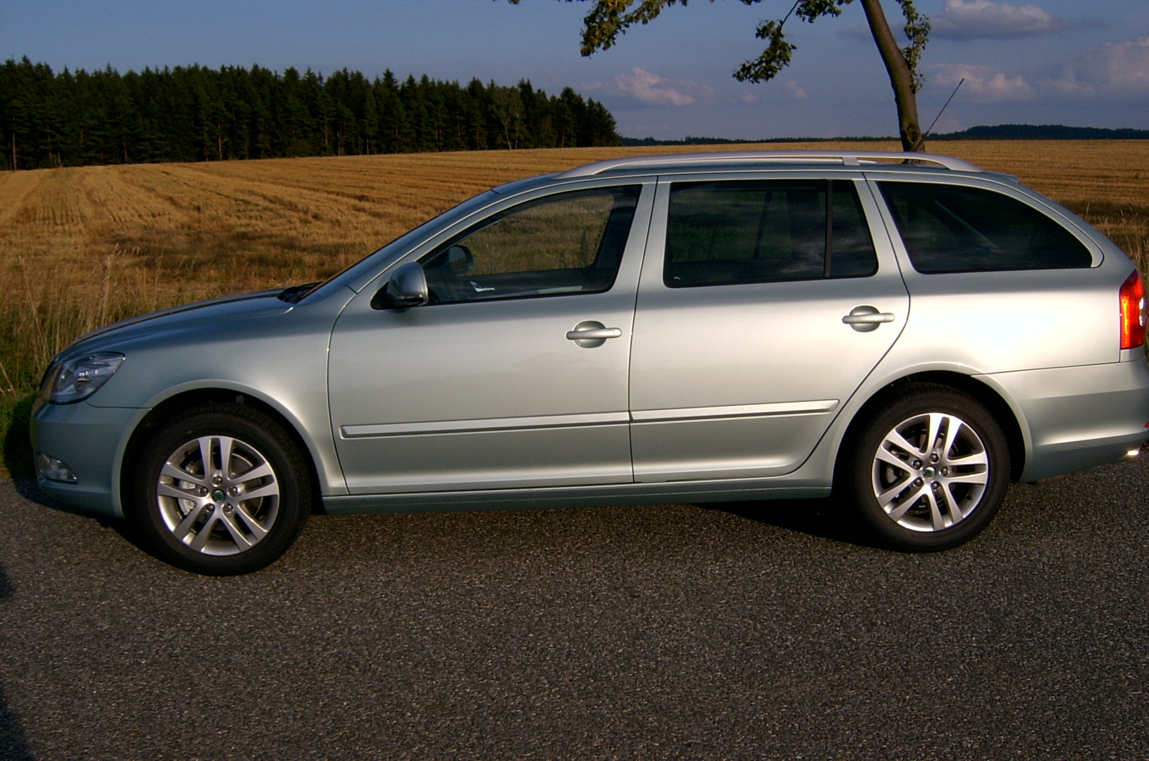 SV401192.JPG